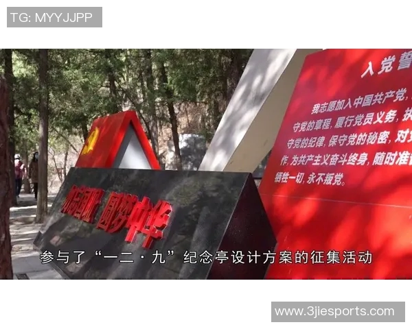 上海排球队的崛起之路:精英赛背后的奋斗与成长故事